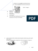 Sains SK Kertas 1