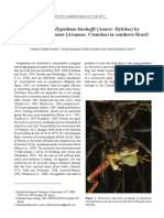 Predation On Hypsiboas Bischoffi (Anura Hylidae) by Phoneutria Nigriventer (Araneae Ctenidae) in Southern Brazil