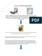 Timeline of The Cause of Extinction of Dodo Birds