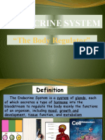 Endocrine System Endocrine System: "The Body Regulator"