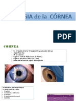 6 Patol Cornea