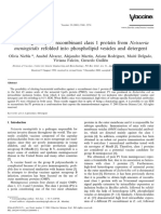 Immunogenicity of Recombinant Class 1 Protein From Neisseria Meningitidis Refolded Into Phospholipid Vesicles and Detergent