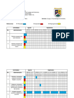 Grafica de Gantt Igss