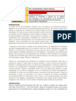 Afrocolombianidad y Valores Humanos