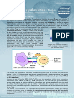 9.6. Regulatory T Cells (Celulas T Reguladoras)