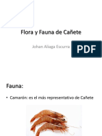 Flora y Fauna de Cañete 2