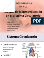 Efectos de La Inmovilización en El Sistema Circulatorio