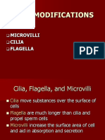 Cell Modifications: Microvilli Cilia Flagella