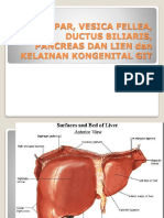 Hepar, Vesica Fellea, Ductus Biliaris