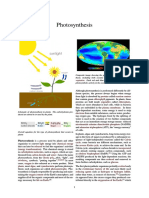 Photosynthesis: Photosynthesis Is A Process Used by Plants and Other