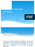 Anatomía Vascular Cerebral