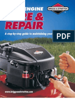 Briggs and Stratton Small Engine Care