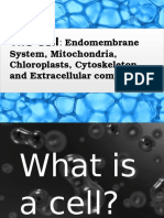 The Cell: Endomembrane System, Mitochondria, Chloroplasts, Cytoskeleton and Extracellular Components