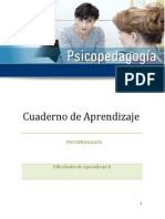 Cuaderno Dificultades Del Aprendizaje 2