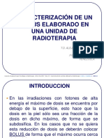 Caracterizacion de Un Bolus Elaborado