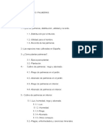 Unidad de Trabajo Palmeras Curso PDF