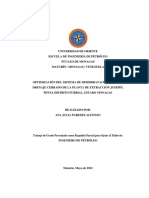 Optimizacion Del Siste Ma de Deshidratacion PDF