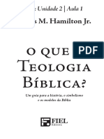 QueeTeologiaBiblica CFL 345 PDF