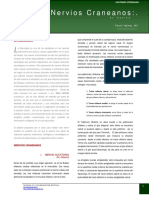 Nervios Craneanos Canino PDF