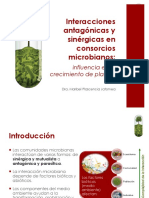 Sinergismo & Antagonismo Tema 6 PDF