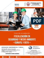 Auditoría Fiscalización Ambiental Erp PDF