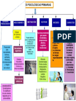 Unidades Psicológicas Primarias Exp 2