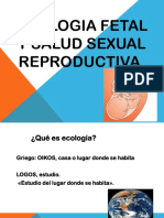 Ecologia Fetal y Salud Sexual Reproductiva