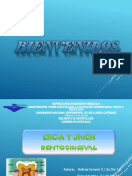 Diapositivas Encia y Union Dentogingival