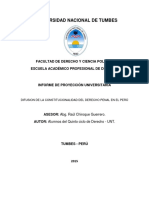 Informe Final de Proyeccion Social Penal 3