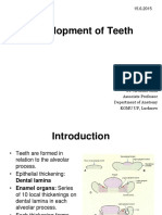 Development of Teeth