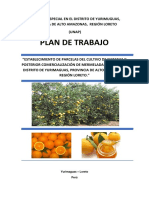 Plan de Trabajo Naranja