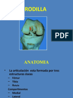 Anatomia de La Rodilla