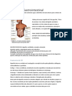 Fisiologia Gastrointestinal