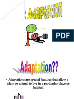 Plant Adaptations