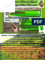 La Kiwicha Diapositiva2