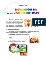 PRACTICA Nro 9 Nectar de Fruta-Guayaba PDF