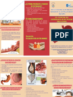 Triptico Cancer Gastrico