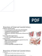 11 - Head & Neck (Blood Vessels) (FF) - Part 2