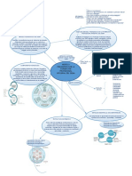 Modelo Pedagogico Sena