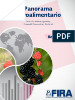 Zarzamora - Panorama Agroalimentario Berries 2016