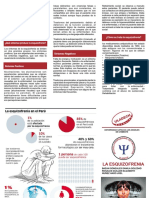 Triptico Esquizofrenia