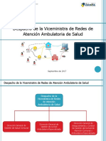 SDSS - Despacho de La Viceministra de Redes de Atención Ambulatoria de Salud PDF