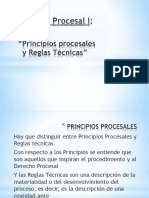 Principios y Reglas Tecnicas