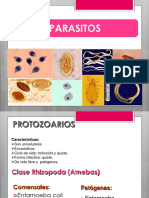 Parasitos - Helmintos PDF