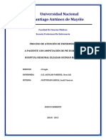 Pae Amputacion PDF