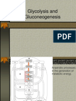 Glycolysis Gluconeogenesis