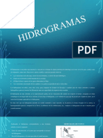 Hidrogramas Exposicion