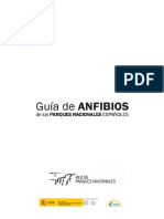 Guia Anfibios 