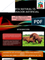 Monta Natural Vs Inseminación Artificial