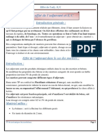 Effet de Adj Et E PDF